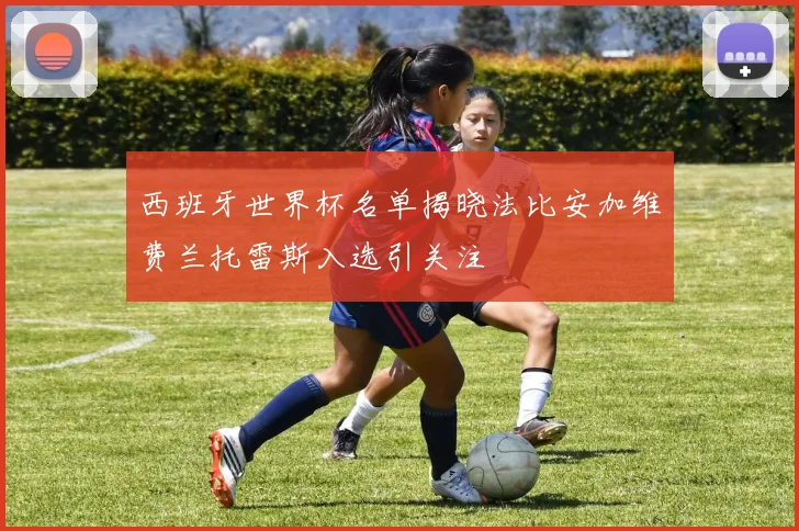 西班牙世界杯名单揭晓法比安加维费兰托雷斯入选引关注