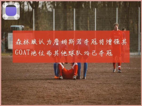 森林狼认为詹姆斯若夺冠将增强其GOAT地位而其他球队均已夺冠