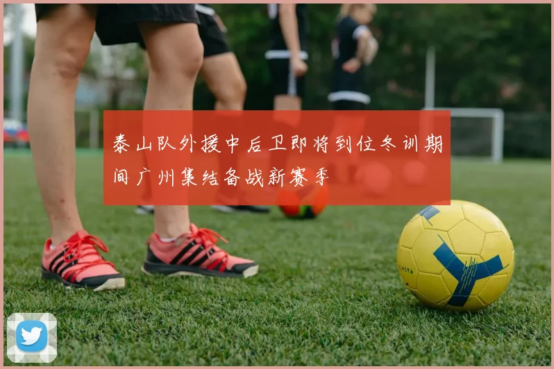 泰山队外援中后卫即将到位冬训期间广州集结备战新赛季