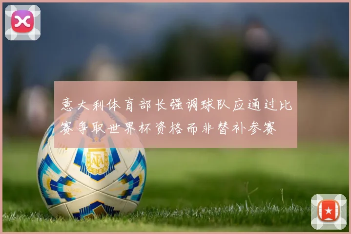 意大利体育部长强调球队应通过比赛争取世界杯资格而非替补参赛