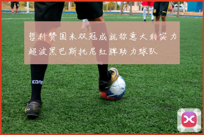 哲科赞国米双冠成就称意大利实力超波黑巴斯托尼红牌助力球队